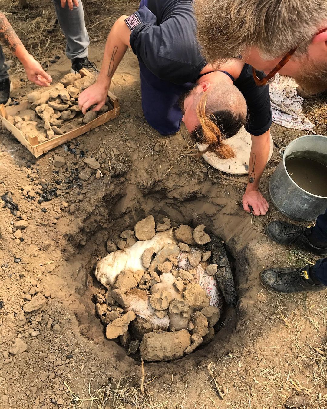 Wildplukkende restaurants halen voedsel uit de Belgische natuur